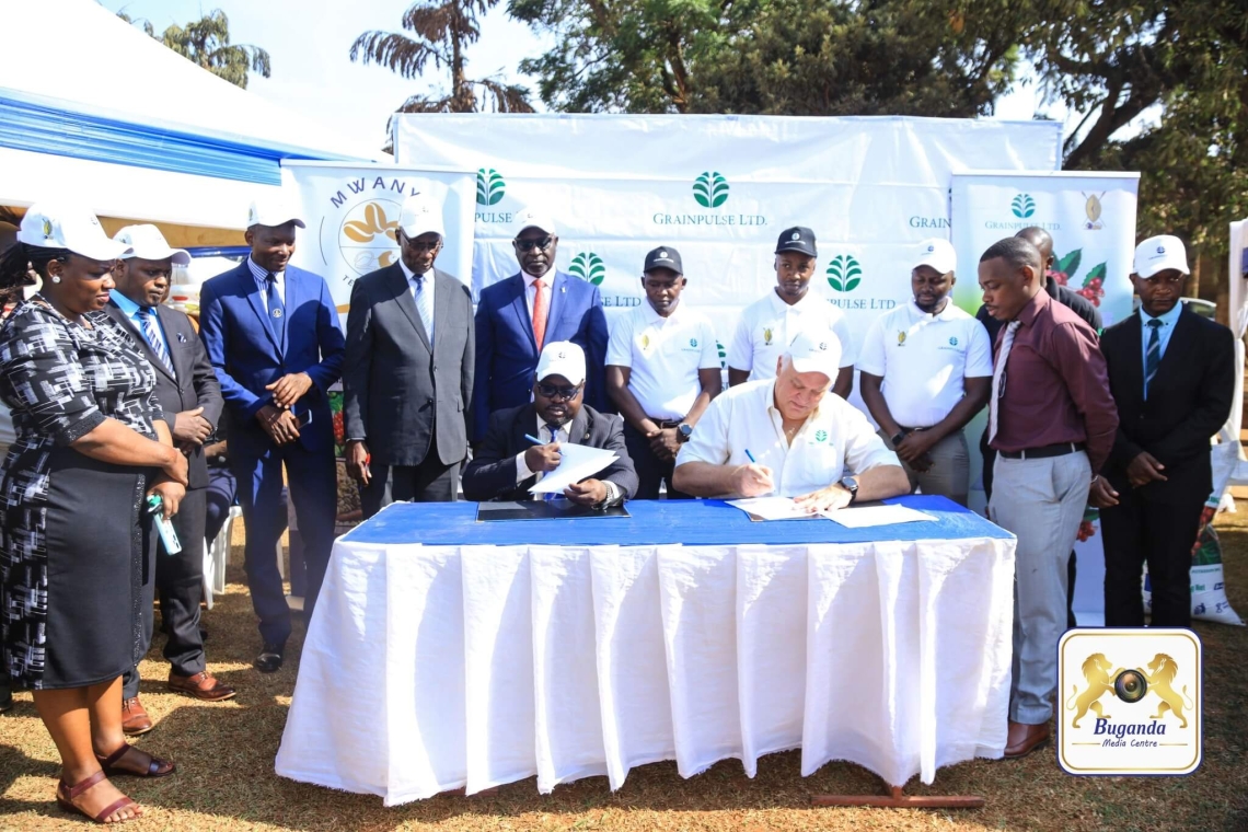 Buganda Kingdom partners with Grain Pulse Ltd to improve coffee quality